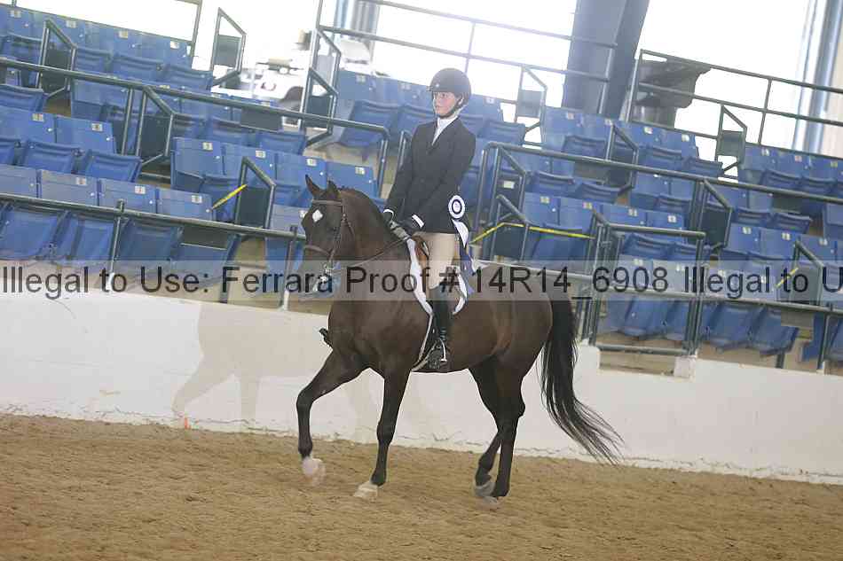Proof 14r14_6908