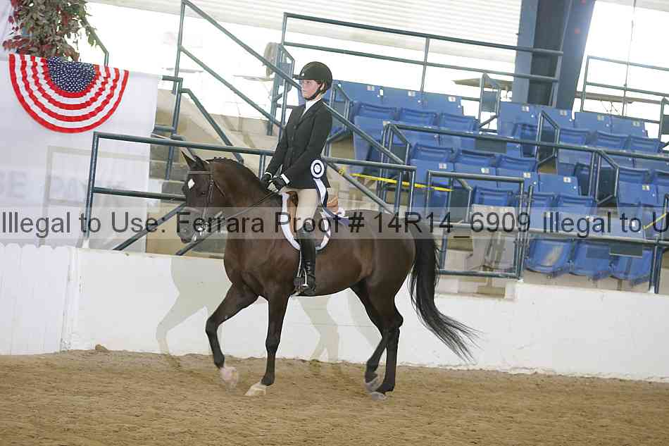 Proof 14r14_6909