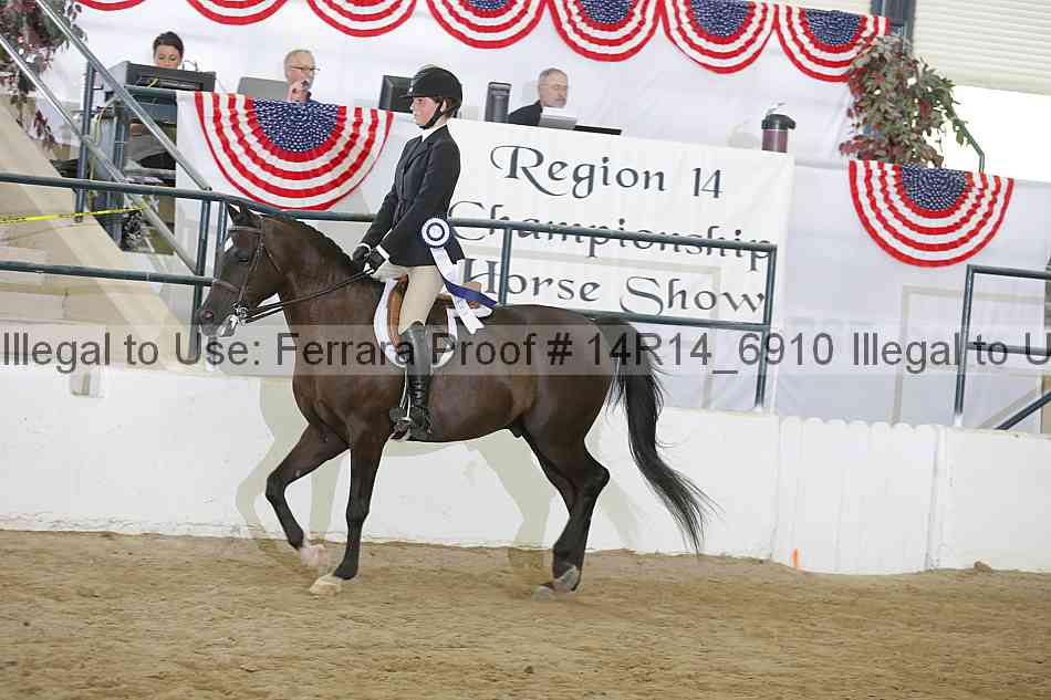 Proof 14r14_6910