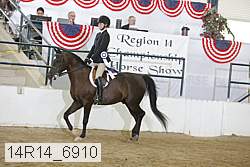 14r14_6910 proof
