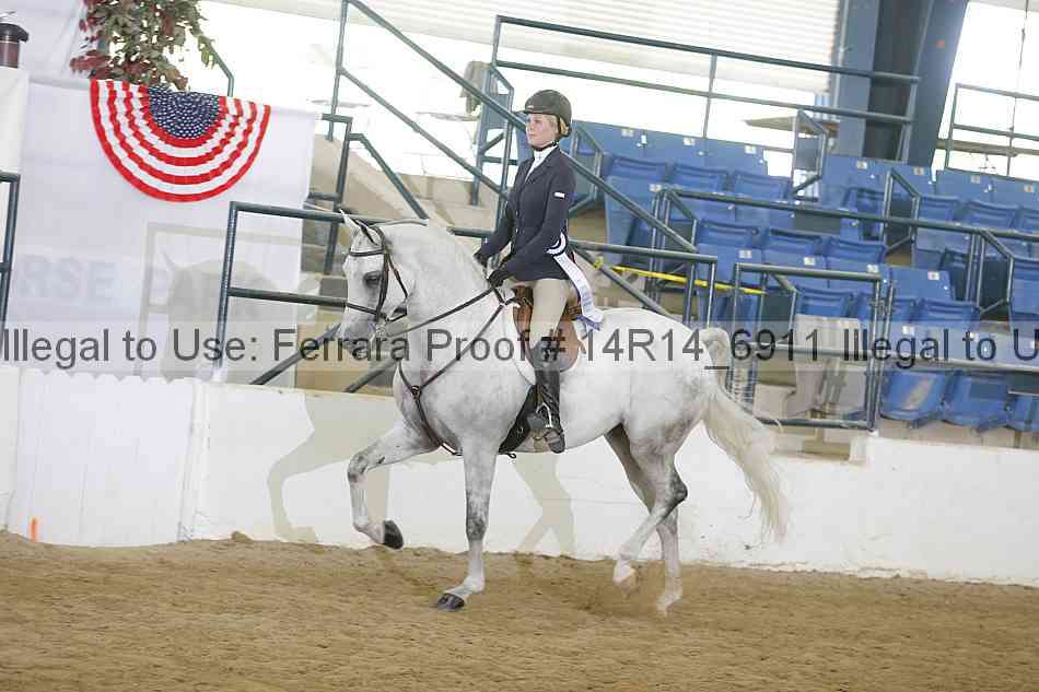 Proof 14r14_6911