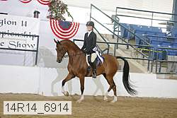14r14_6914 proof