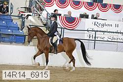 14r14_6915 proof