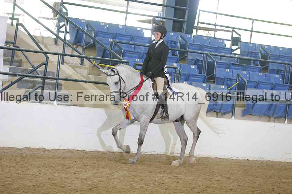 Proof 14r14_6916