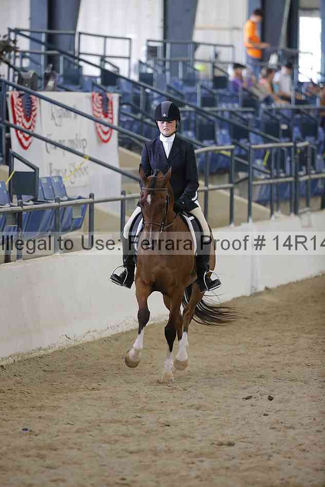 Proof 14r14_6919