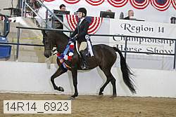 14r14_6923 proof