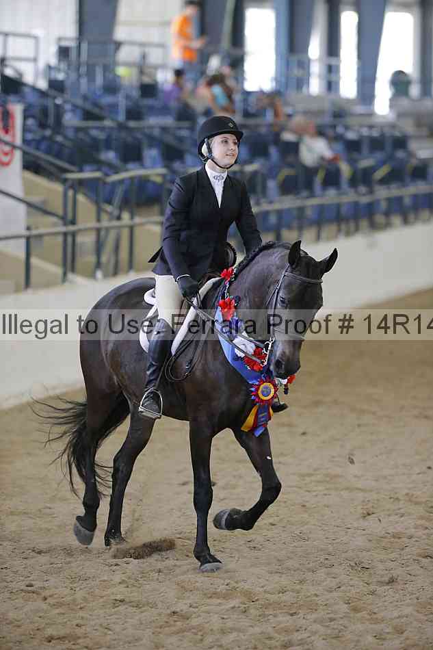 Proof 14r14_6926