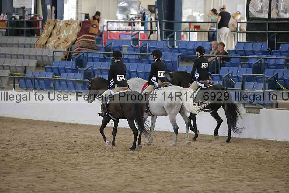 Proof 14r14_6929