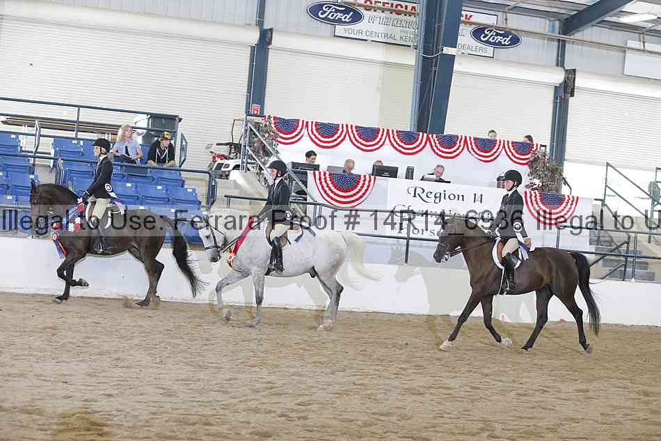 Proof 14r14_6936