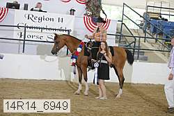 14r14_6949 proof