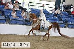 14r14_6957 proof