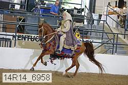 14r14_6958 proof