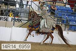 14r14_6959 proof