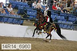 14r14_6960 proof