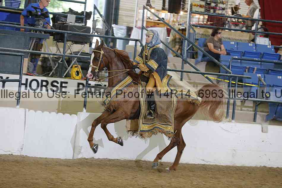 Proof 14r14_6963