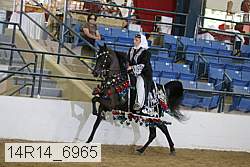 14r14_6965 proof