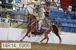 14r14_6966 proof