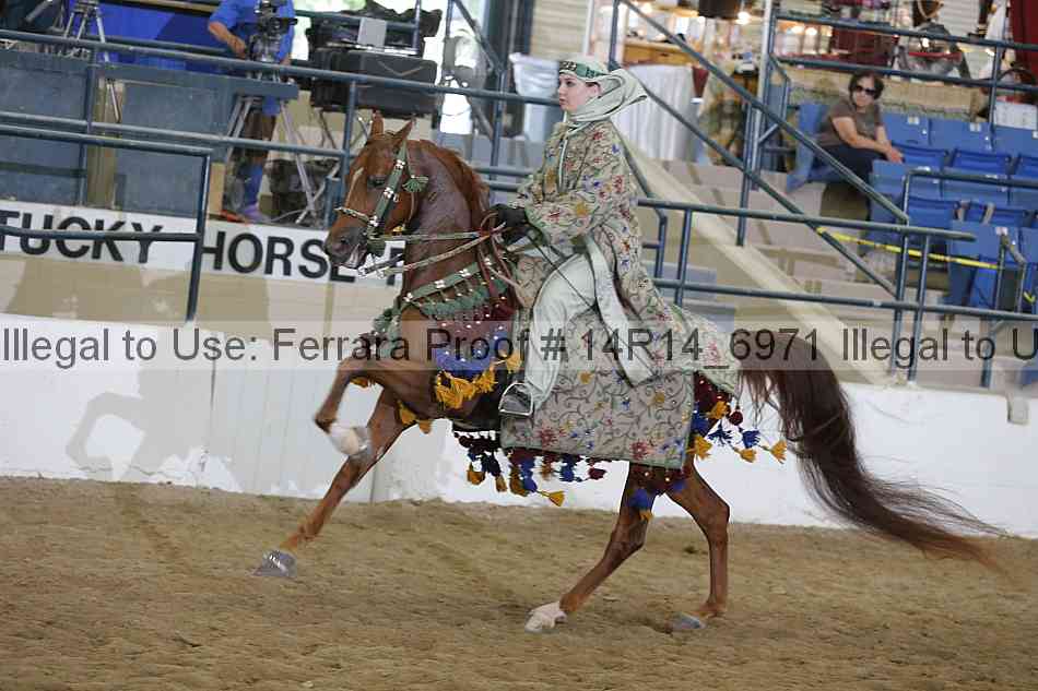 Proof 14r14_6971