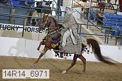 14r14_6971 proof