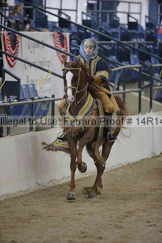 Proof 14r14_6972
