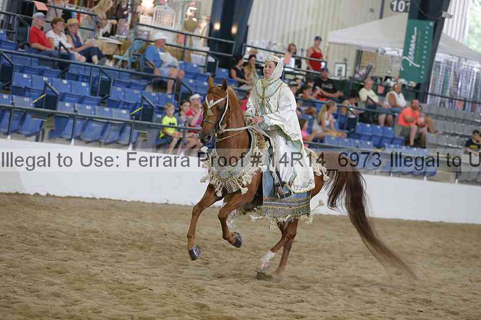 Proof 14r14_6973