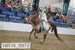 14r14_6973 proof