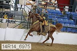 14r14_6975 proof