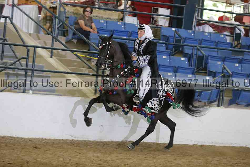 Proof 14r14_6977