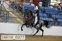 14r14_6977 proof
