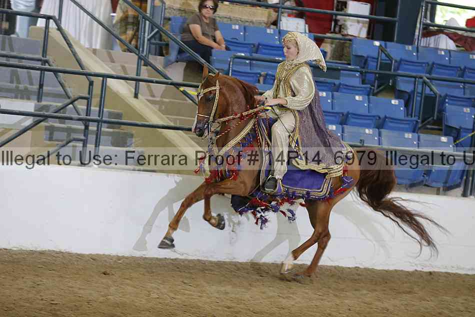 Proof 14r14_6979