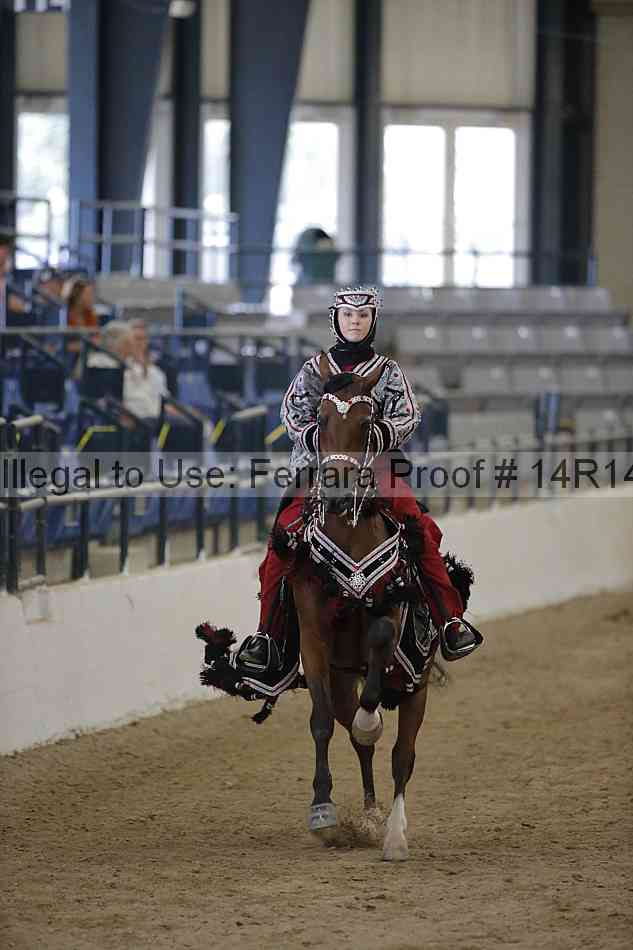 Proof 14r14_6980