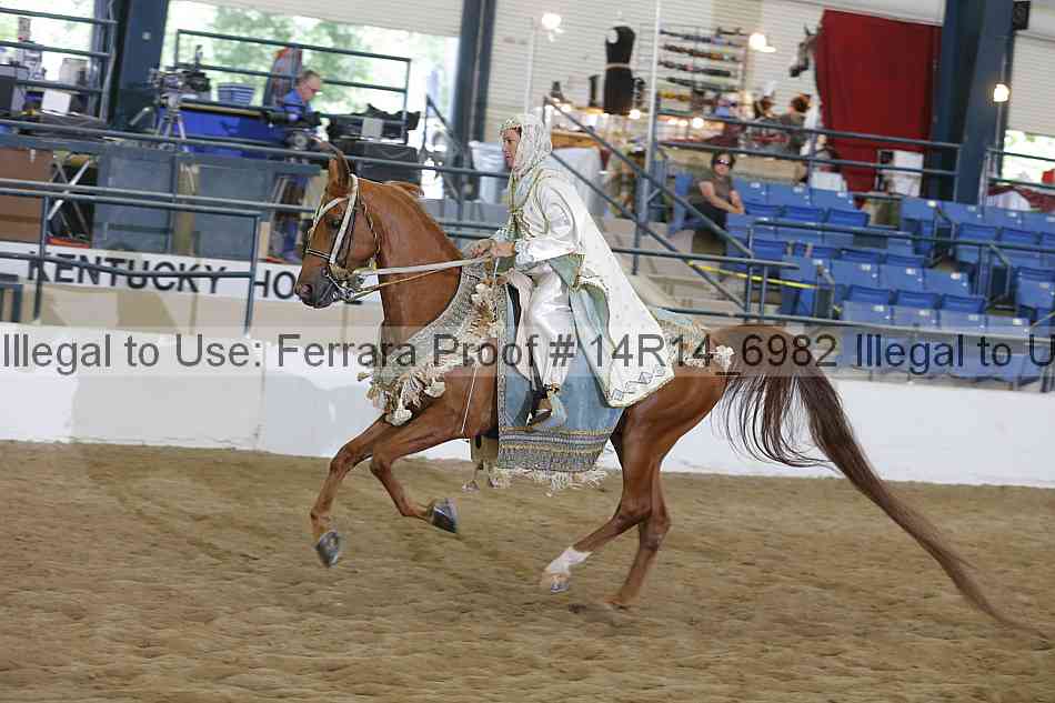 Proof 14r14_6982