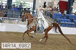 14r14_6982 proof