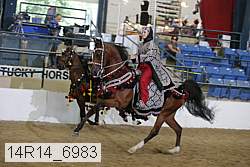14r14_6983 proof
