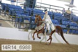 14r14_6988 proof