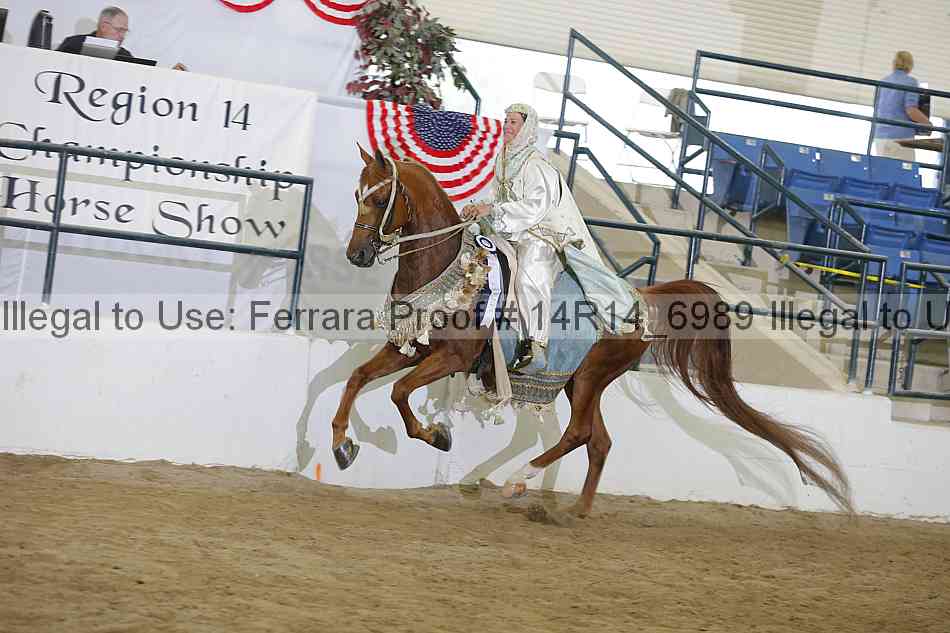 Proof 14r14_6989