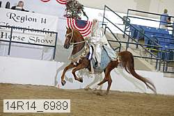 14r14_6989 proof