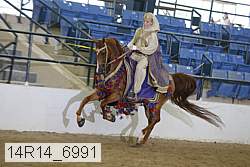 14r14_6991 proof