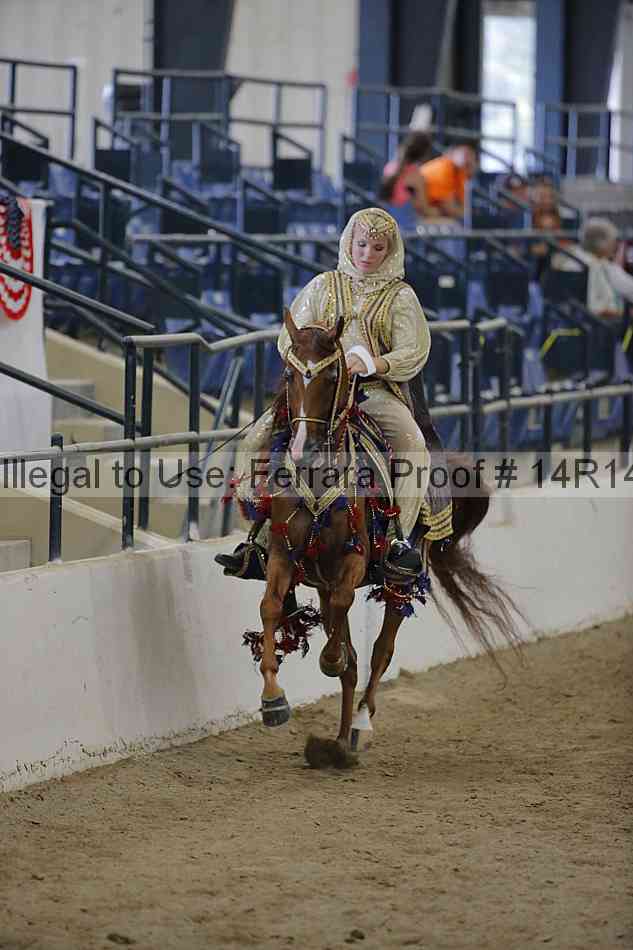 Proof 14r14_6993