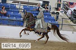 14r14_6995 proof