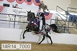14r14_7000 proof