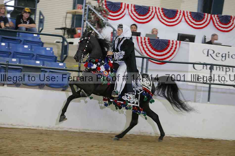 Proof 14r14_7001