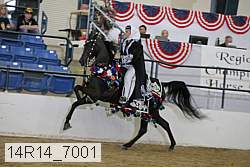 14r14_7001 proof