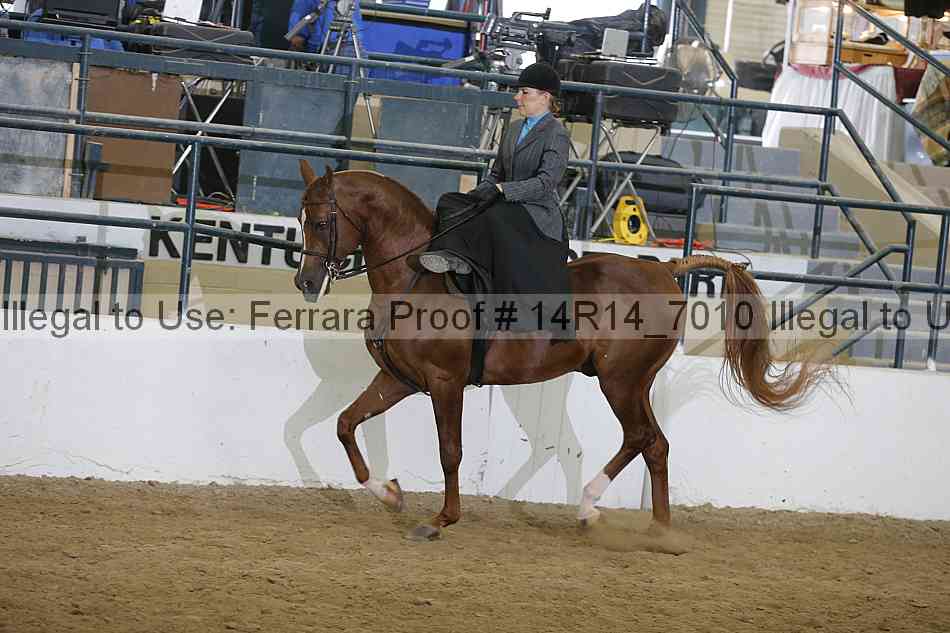 Proof 14r14_7010
