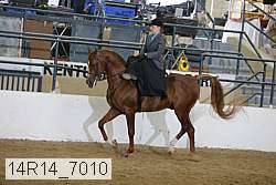 14r14_7010 proof
