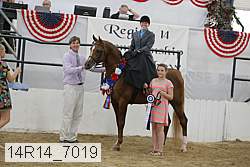 14r14_7019 proof