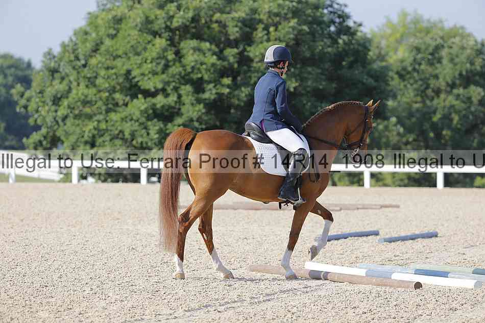 Proof 14r14_1908