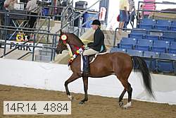 14r14_4884 proof