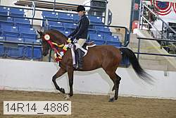 14r14_4886 proof