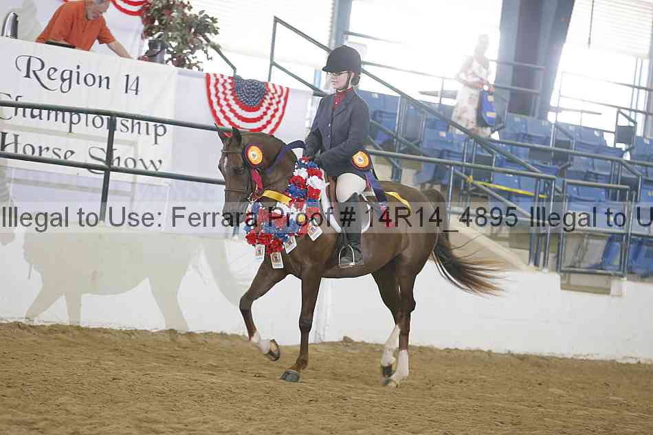Proof 14r14_4895